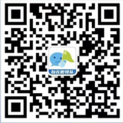 自在旅游公众号